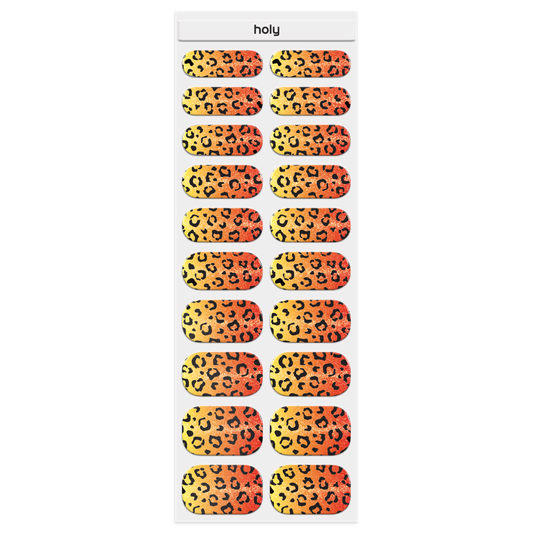 チーターサンセット