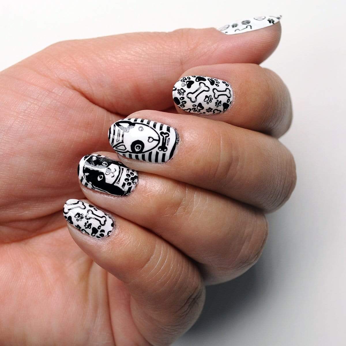 Best in Show: Dog-Themed Nail Stamping Starter Kit