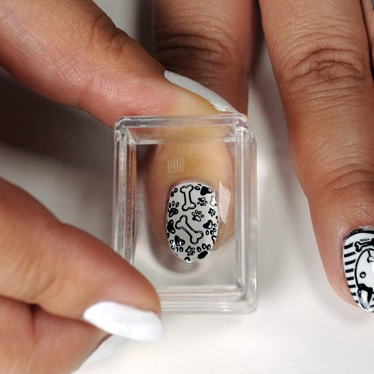 Best in Show: Dog-Themed Nail Stamping Starter Kit